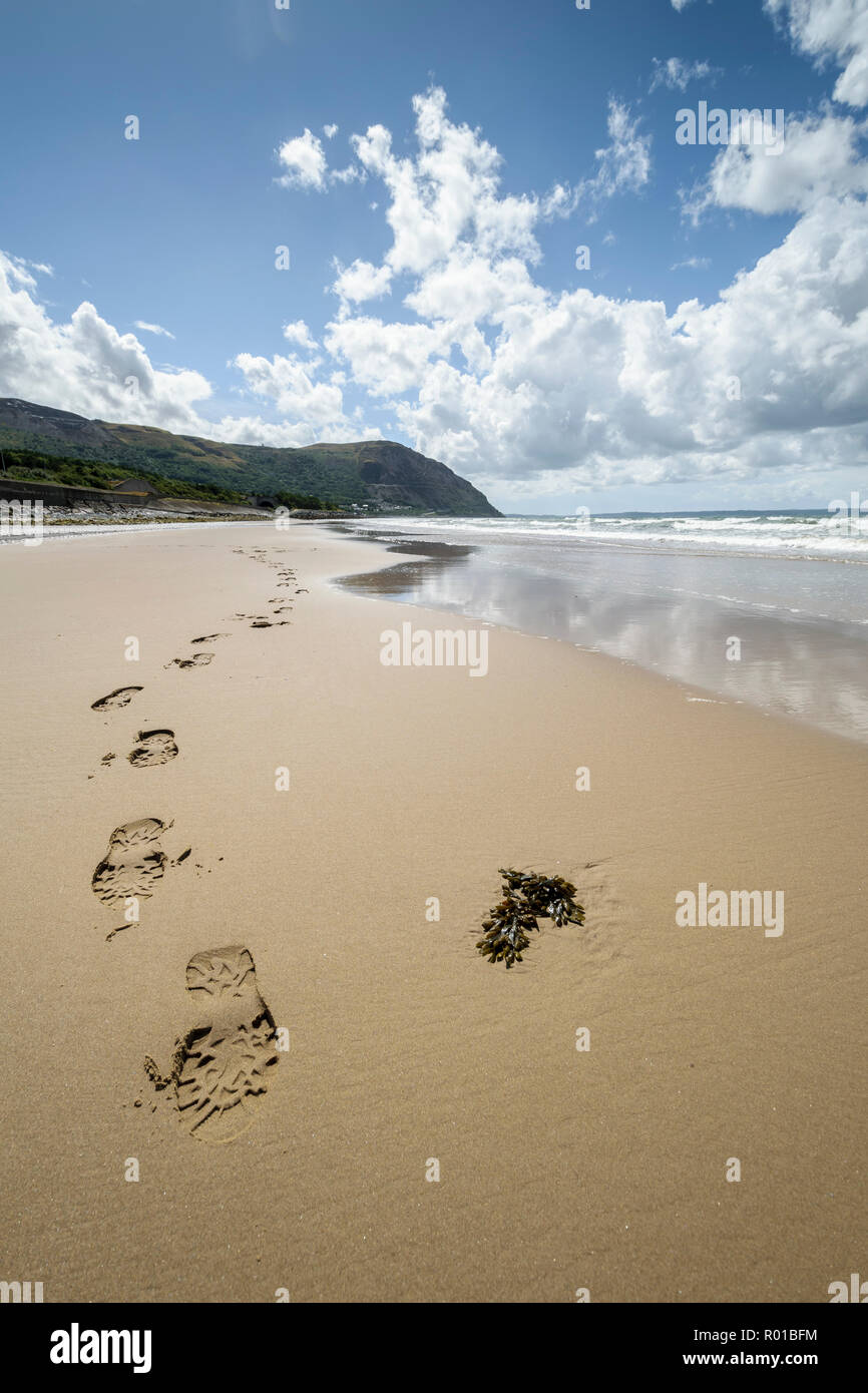 Penmaenmawr spiaggia sulla costa settentrionale del Galles REGNO UNITO Foto Stock