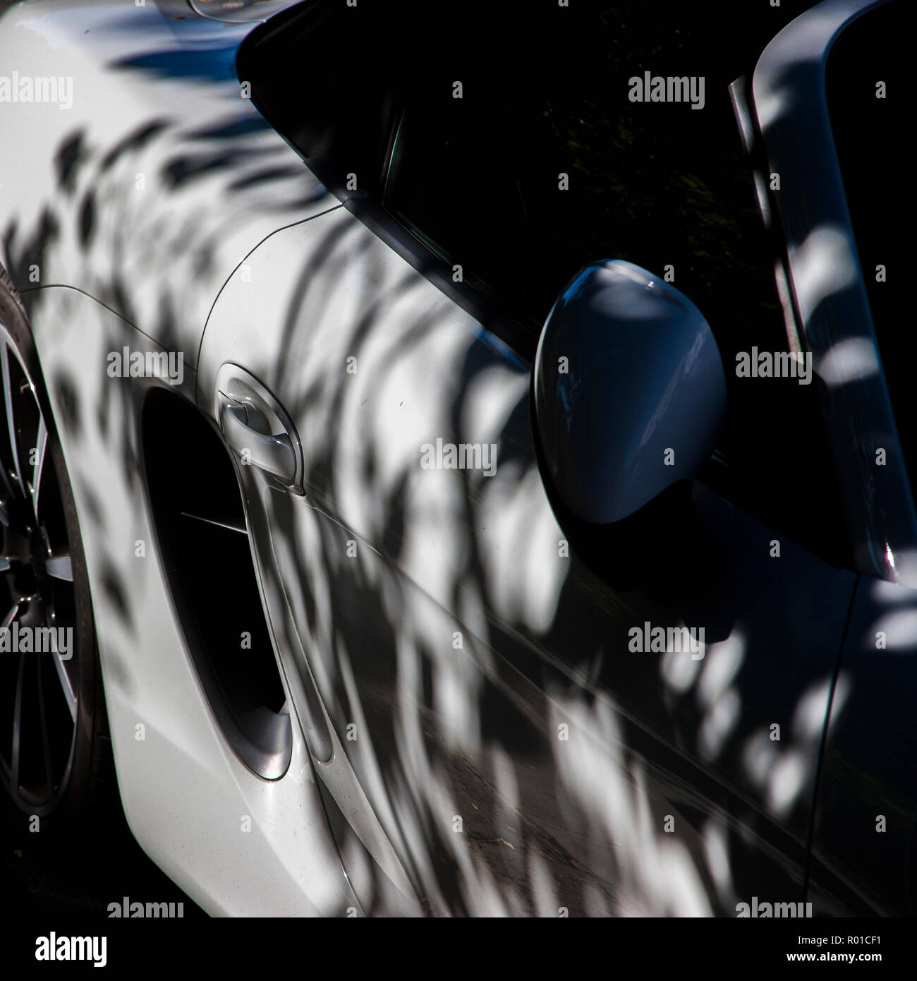 auto sportiva illuminata da luce drappeggiata, le ombre fogliame fare motivi sulla superficie bianca dell'auto Foto Stock