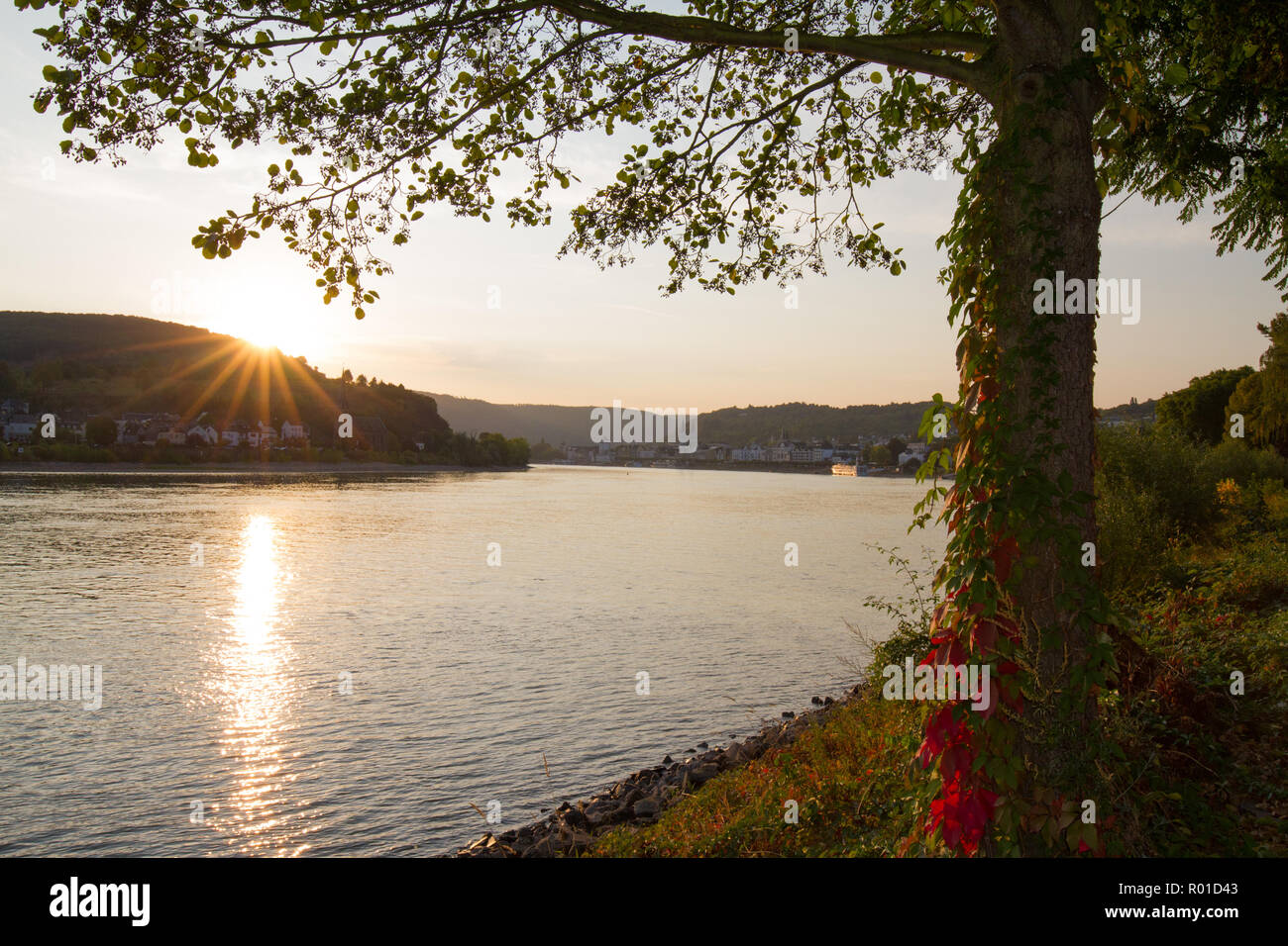 Il villaggio di Boppard, Germania, sul fiume Reno nelle prime ore del mattino Foto Stock