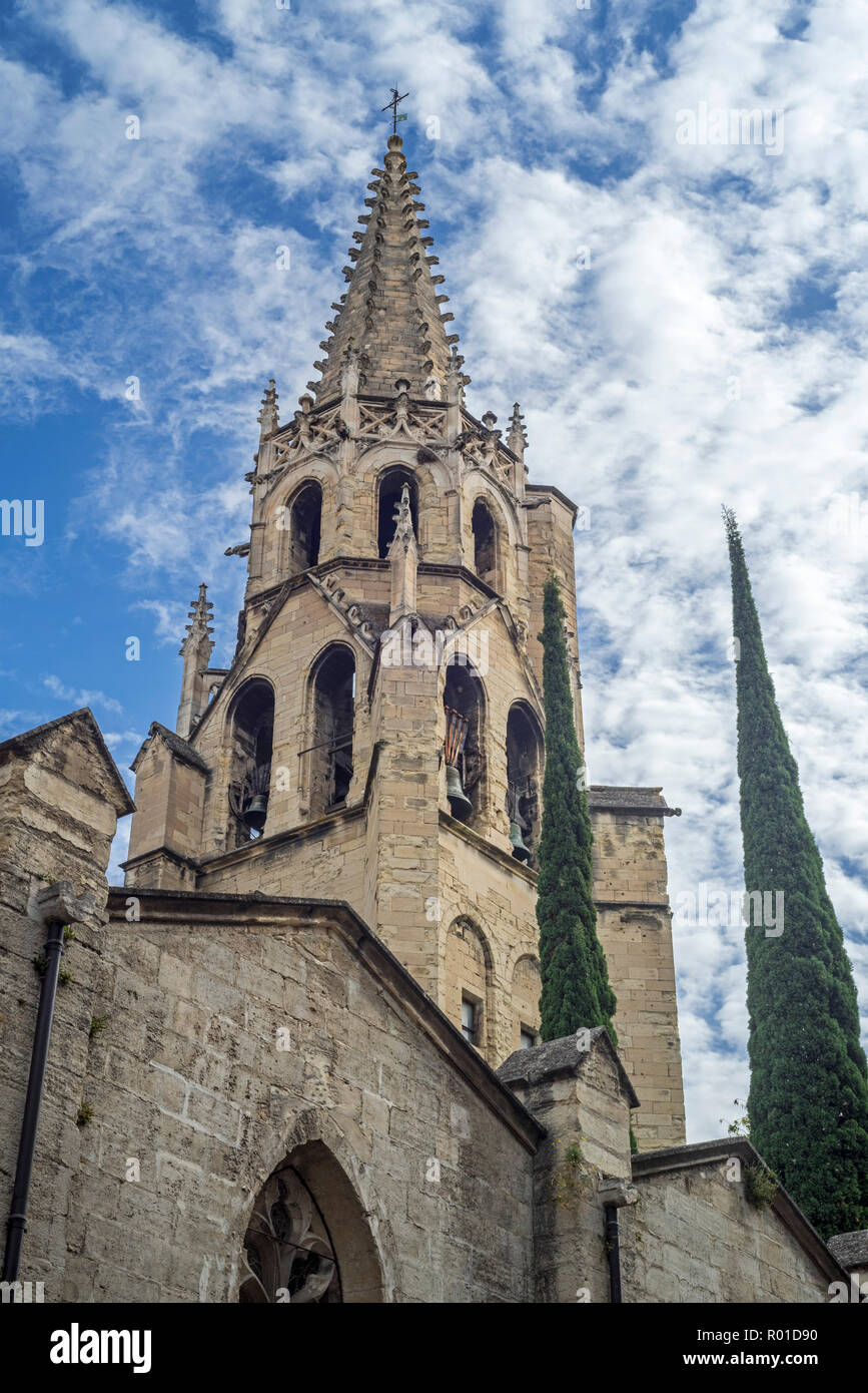 Il campanile del XIV secolo gotico Basilique Saint-Pierre d'Avignon / Basilica di San Pietro, Avignon Vaucluse, Provence-Alpes-Côte d'Azur, in Francia Foto Stock