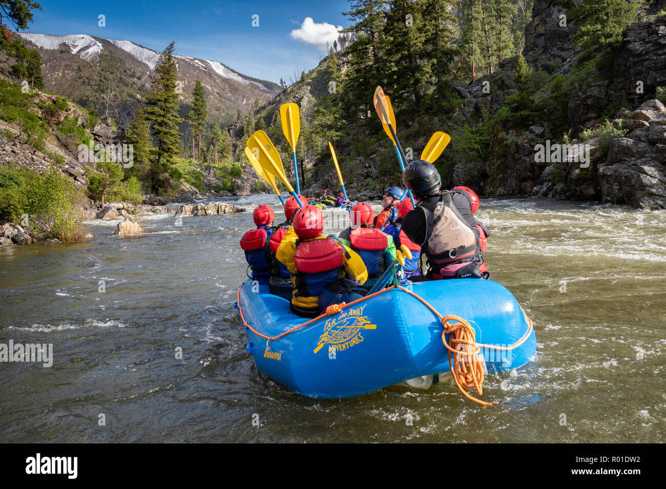 Lontano e lontano Adventures guida Jake Miczulski e gli ospiti celebrano una corsa di successo sul fiume di salmone Middle Fork con un saluto da pagaie. Foto Stock