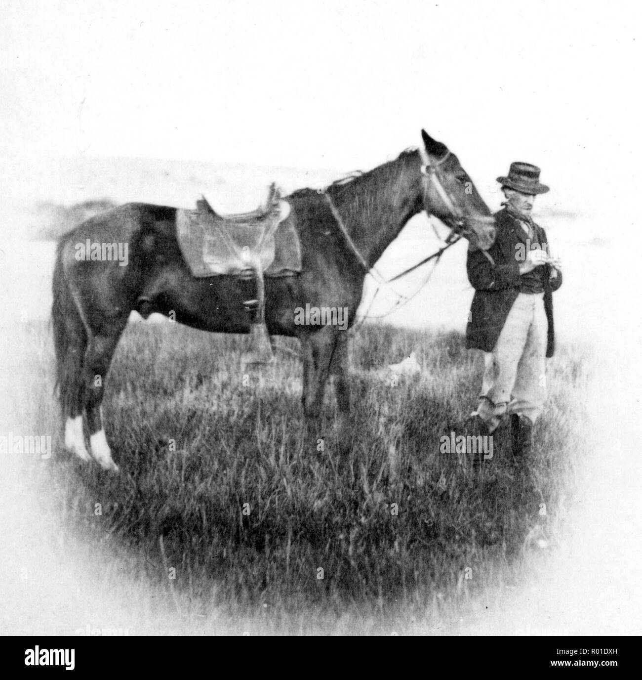 Cyrus Thomas (1825 - 1910) American etnologo e entomologo di spicco nel tardo XIX secolo e nota per i suoi studi di storia naturale dell'Ovest americano. Foto Stock