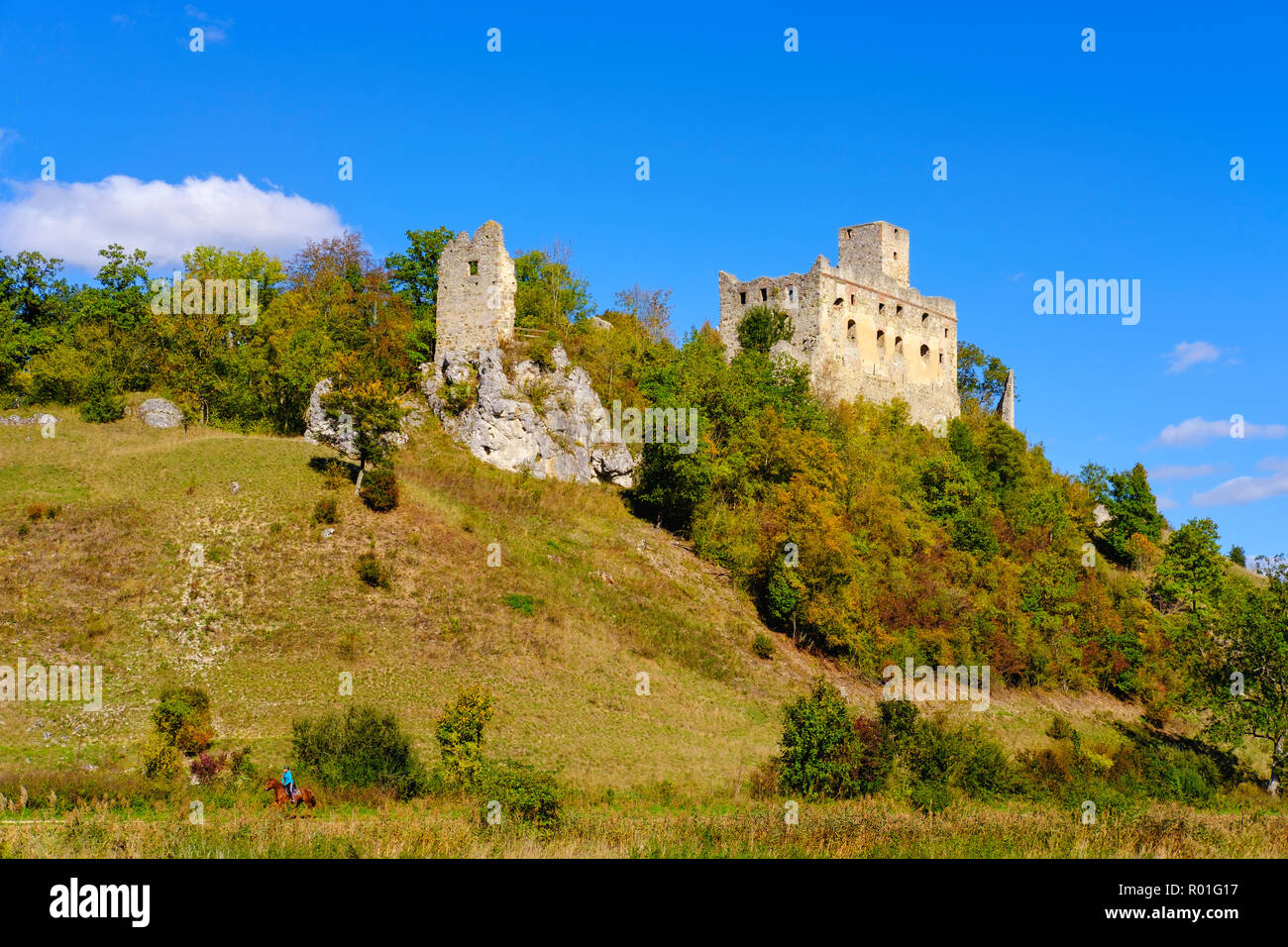 Il castello di Niederhaus in Nördlinger Ries, vicino Ederheim, distretto di Donau-Ries, Svevia, Baviera, Germania Foto Stock