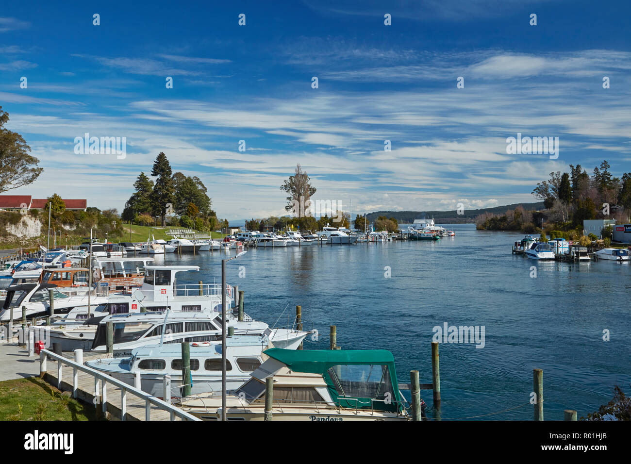 Marina sul fiume Waikato in corrispondenza della bocca di uscita del Lago Taupo, Taupo, Isola del nord, Nuova Zelanda Foto Stock