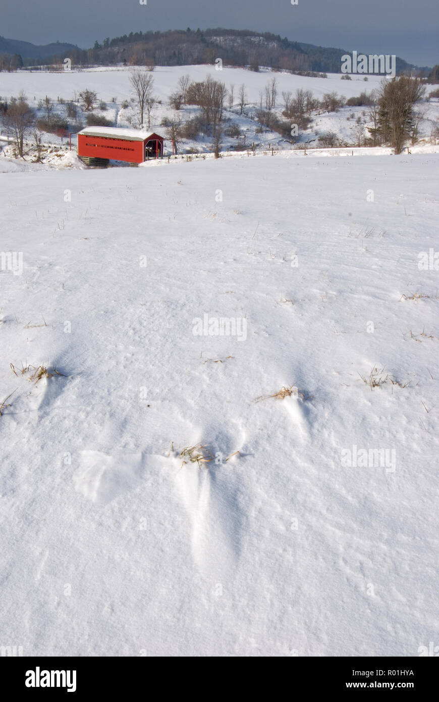 Rosso ponte coperto sul retro di una coperta di neve campo Foto Stock