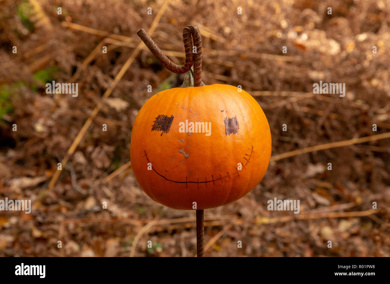 Preston, Lancashire, Regno Unito. Il 31 ottobre, 2018. Zucca di Halloween, Ambleside, Cumbria. Credito: John Eveson/Alamy Live News Foto Stock