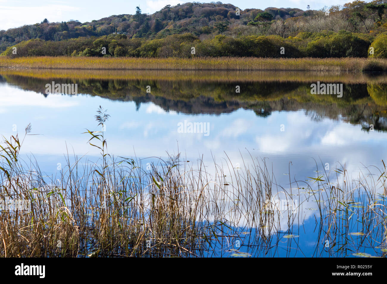 Lago Lissard, Skibbereen, Irlanda, 1 novembre 2018. Un brillante chiaro mattina con Non un alito di vento e temperature fino a 11 gradi centigradi consentire Lissard lago vicino a Skibbereen per riflettere i colori dell'autunno sul lago ancora superficie. Credito: aphperspective/Alamy Live News Foto Stock