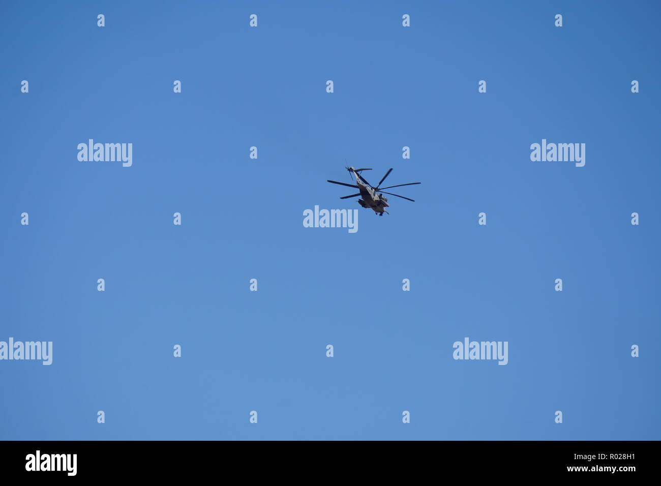 Mentre presso lo stagno appena fuori di El Centro questo uccello è stato avvistato. Foto Stock