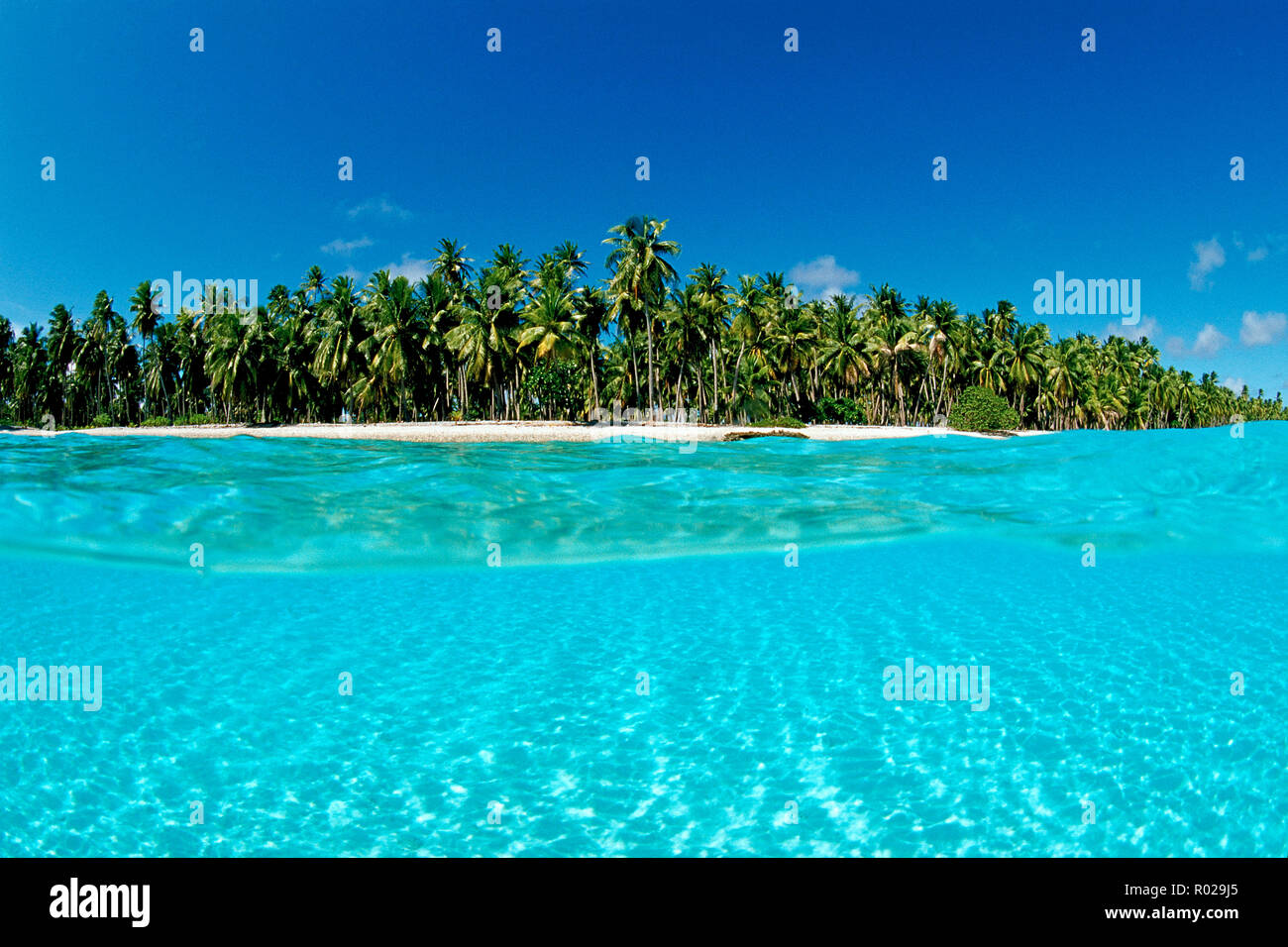 Tropical Pacific Beach, Tuamotus, Oceano Pacifico Foto Stock