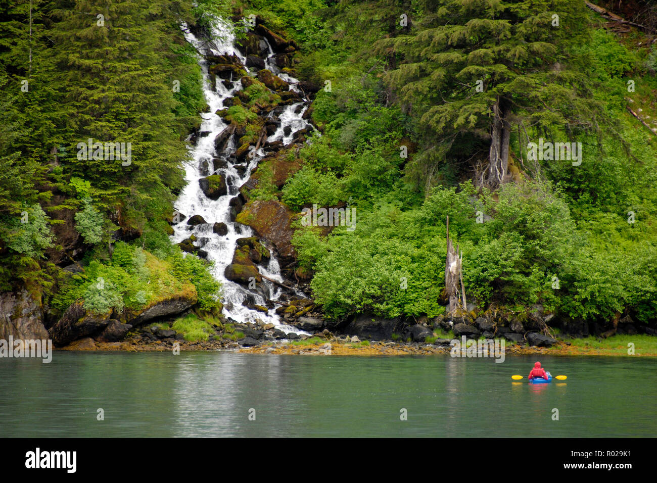 Kayak di mare nella baia di Takatz, Baranof Island, Alaska, Oceano Pacifico Foto Stock