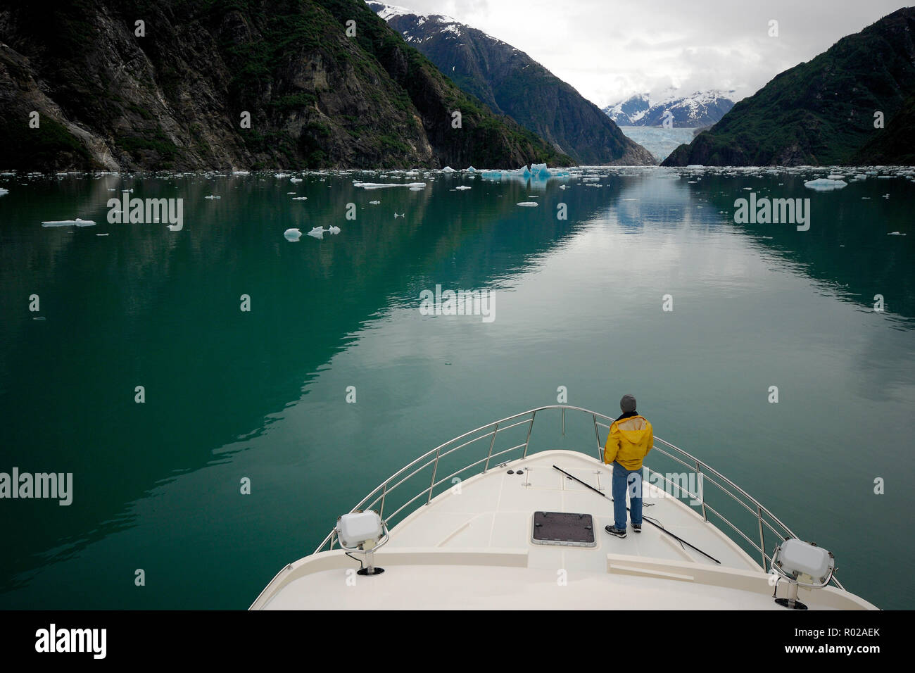 Più caldo rispetto alle normali temperature estive esporre le zone di solito ricoperte di neve e ghiaccio. Tracy Arm, Fords-Terror deserto, Alaska, Oceano Pacifico Foto Stock