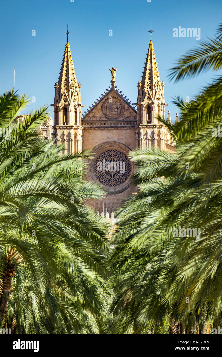 La cattedrale di Palma, Cattedrale di Santa Maria di Palma, chiamato anche La Seu, Palma de Mallorca, Maiorca, isole Baleari, Spagna Foto Stock
