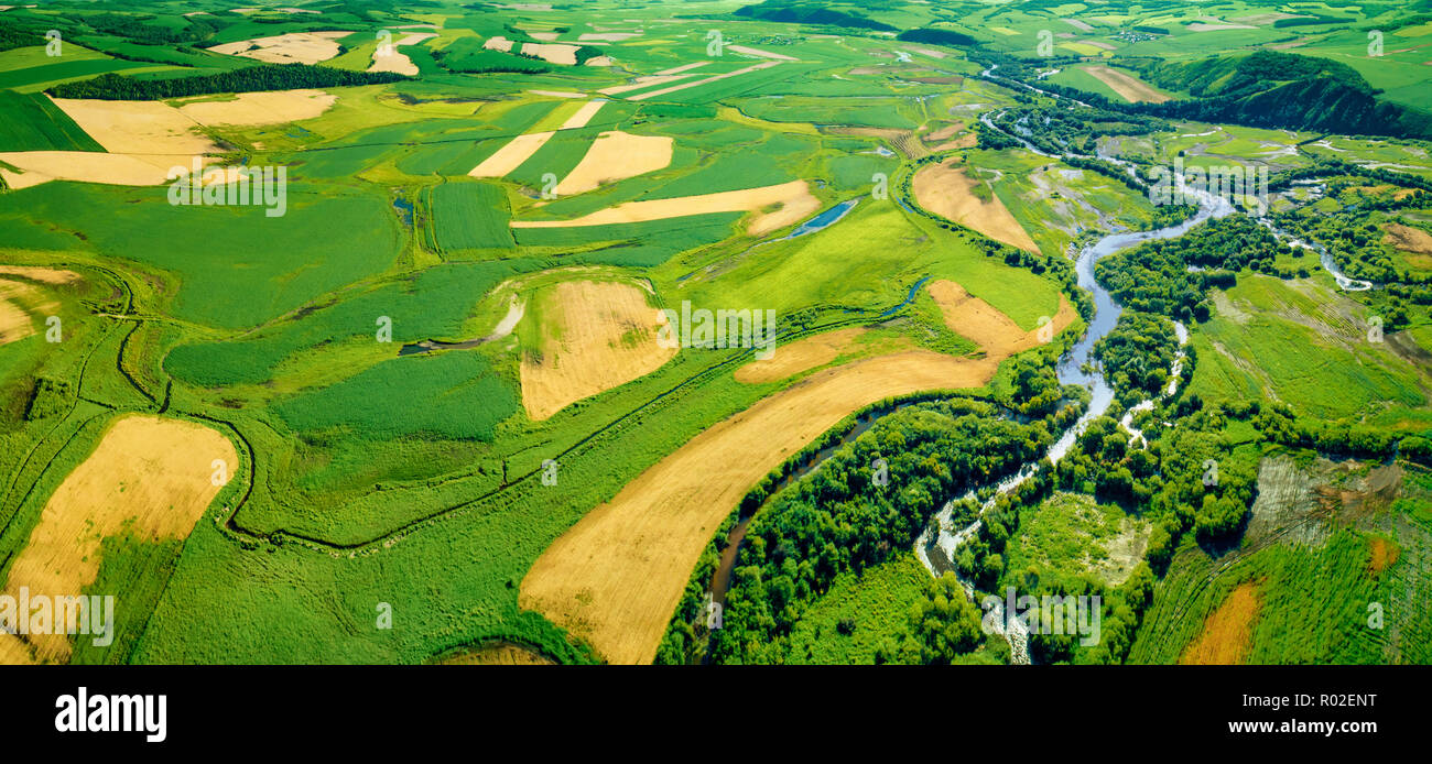 Verdi campi vista aerea prima del raccolto in estate Foto Stock