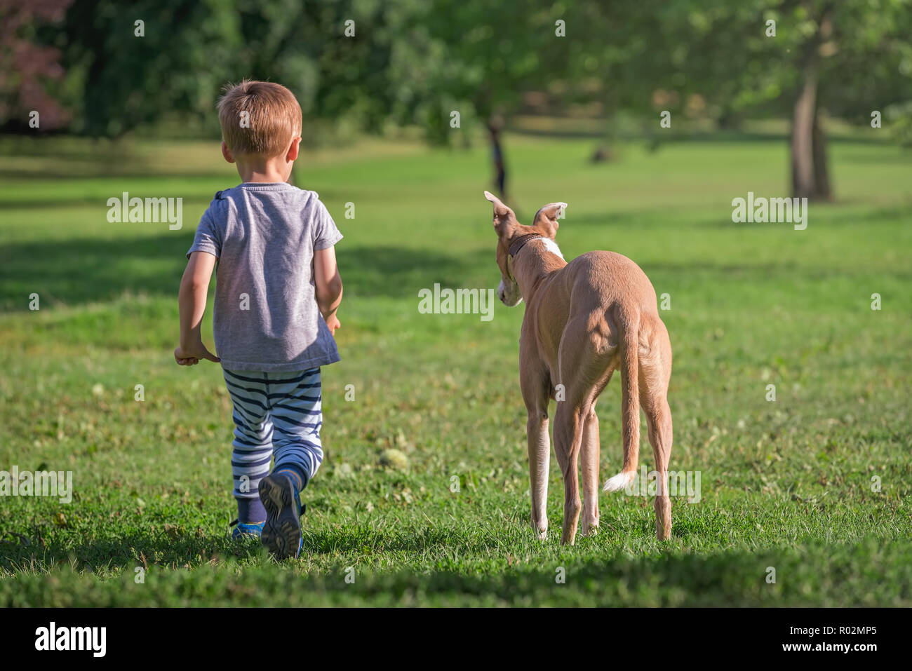 Ritratto di un giovane ragazzo caucasico camminano in un parco con un cane di grandi dimensioni Foto Stock