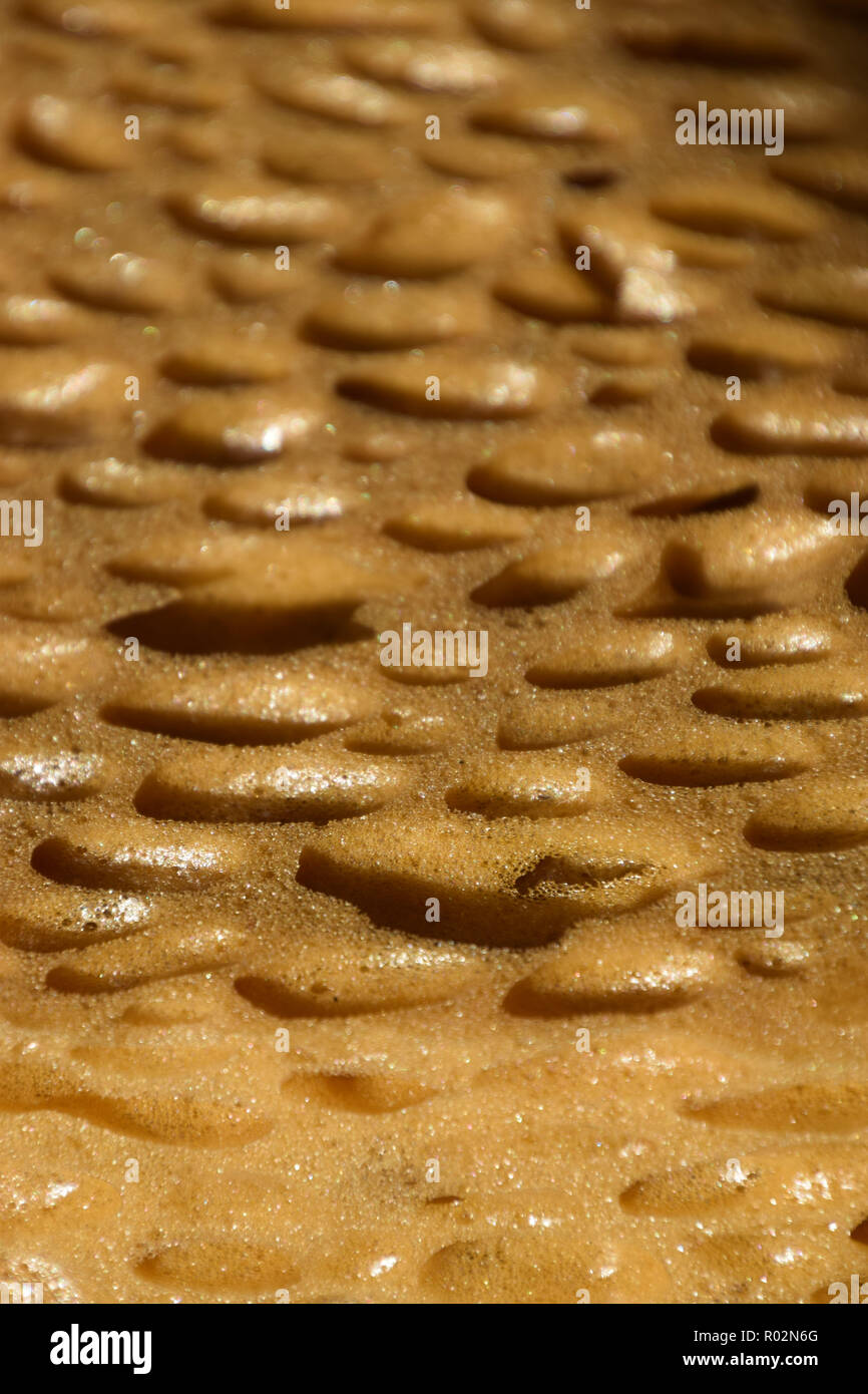 Attrezzature per la pulizia di pan di spagna per la cucina o il bagno o a scuola, spugna porosa superficie di sfondo, macro estreme del grande secco poroso spugna aspetto bizzarro Foto Stock