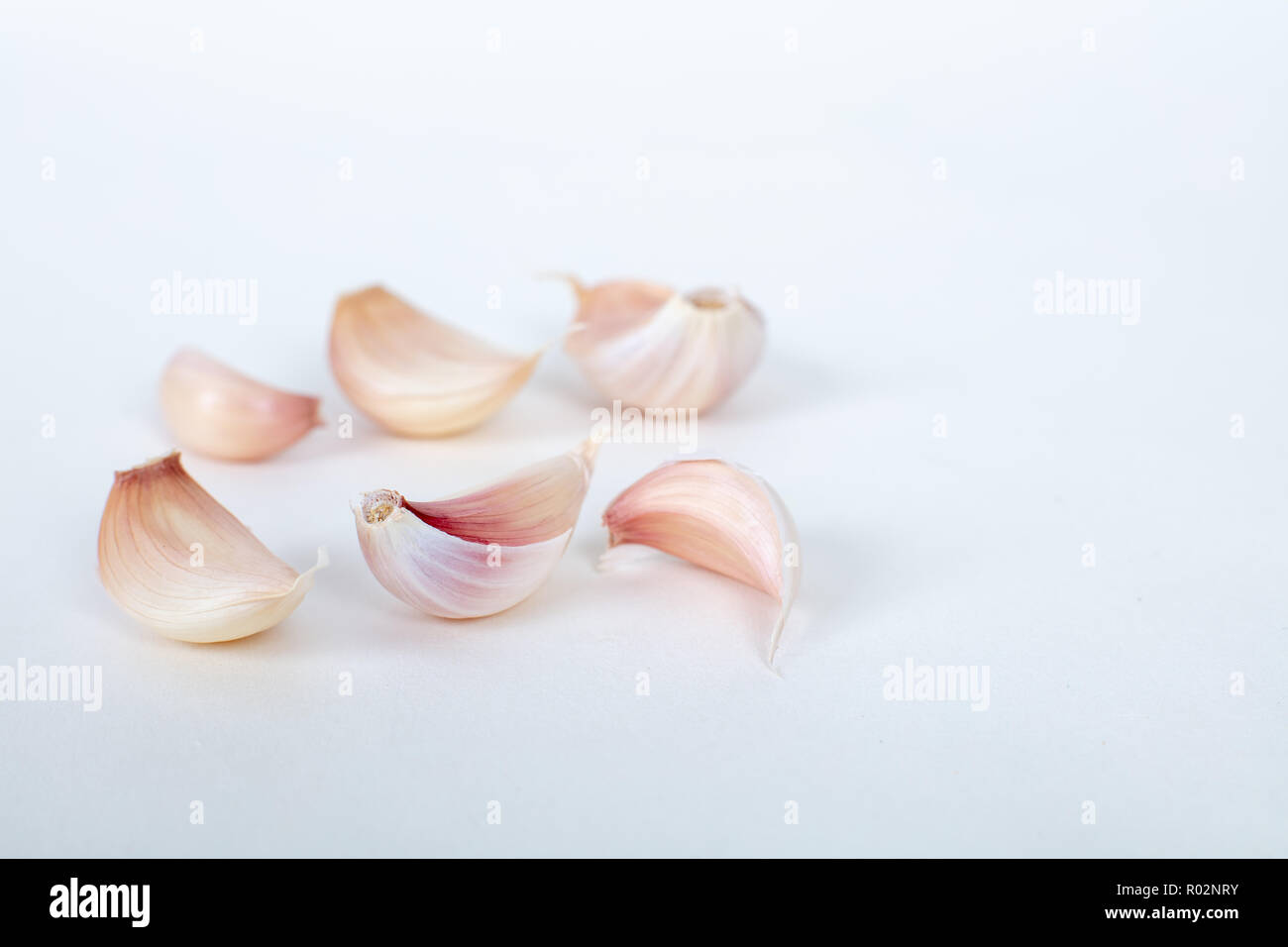 Garlics isolato su sfondo bianco con ombre , ad alto angolo di visione Foto Stock