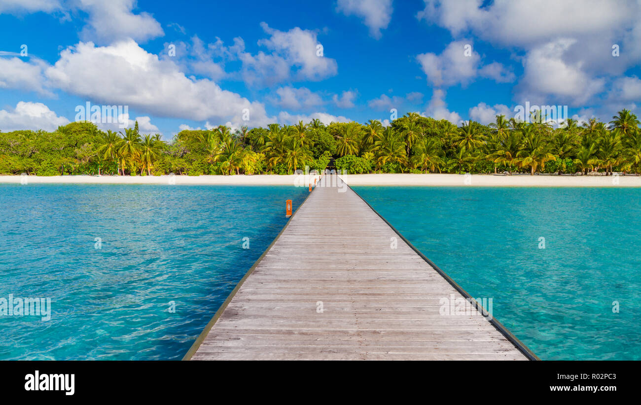 Maldive spiaggia, pontile in legno, Palme sul mare blu. Viaggi di lusso e concetto di vacanza. Spiaggia, il panorama incredibile paesaggio estivo. Spiaggia di ispirazione Foto Stock