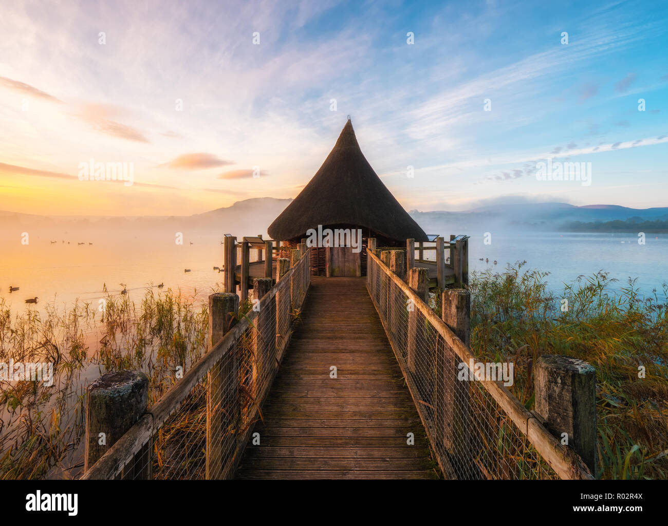 Lago Llangorse Sunrise Foto Stock