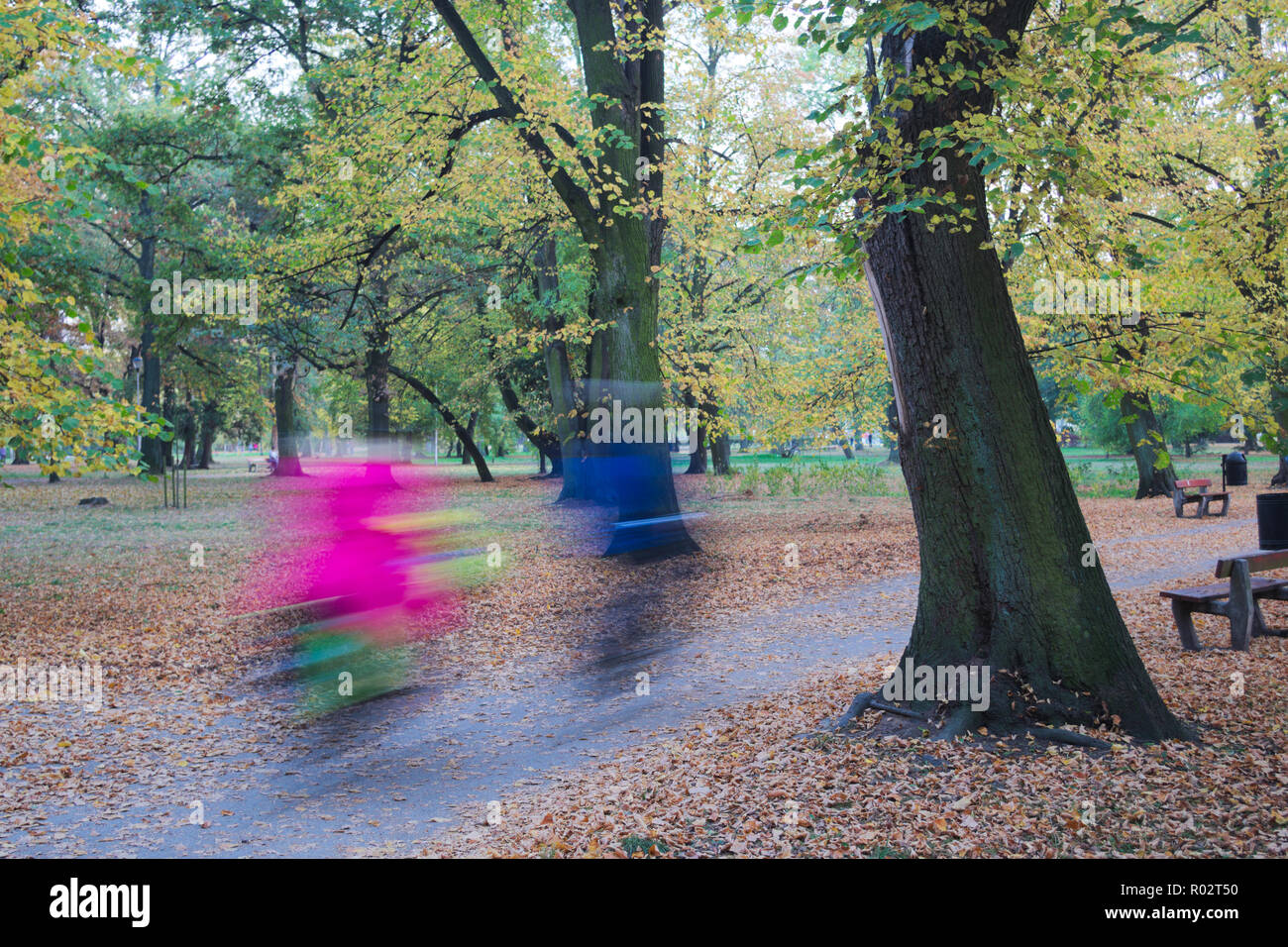 Due ciclisti lunga esposizione girato nel Parco, serata d'autunno. Foto Stock