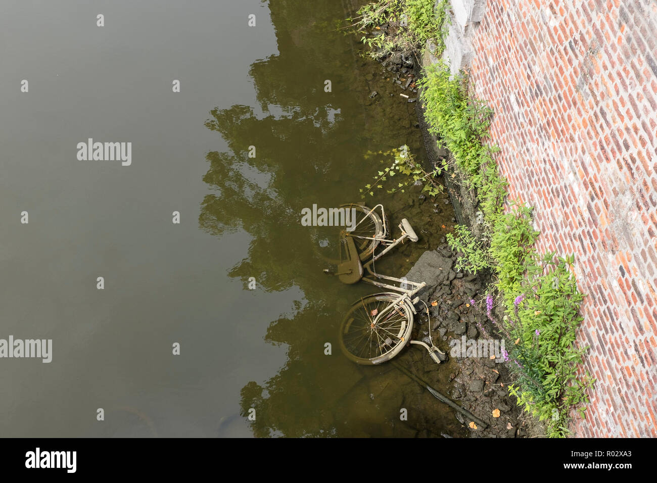 Oggetto di dumping di biciclette nel fiume Dyle in Mechelen, Belgio Foto Stock