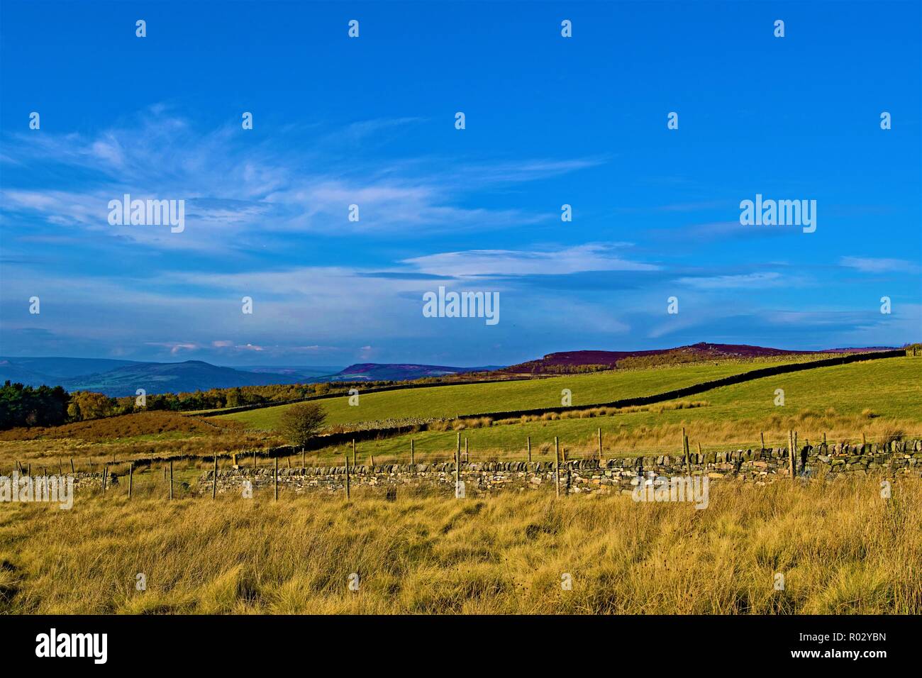 Blue sky di pensiero e momento in Longshaw Prato, Grindleford Foto Stock