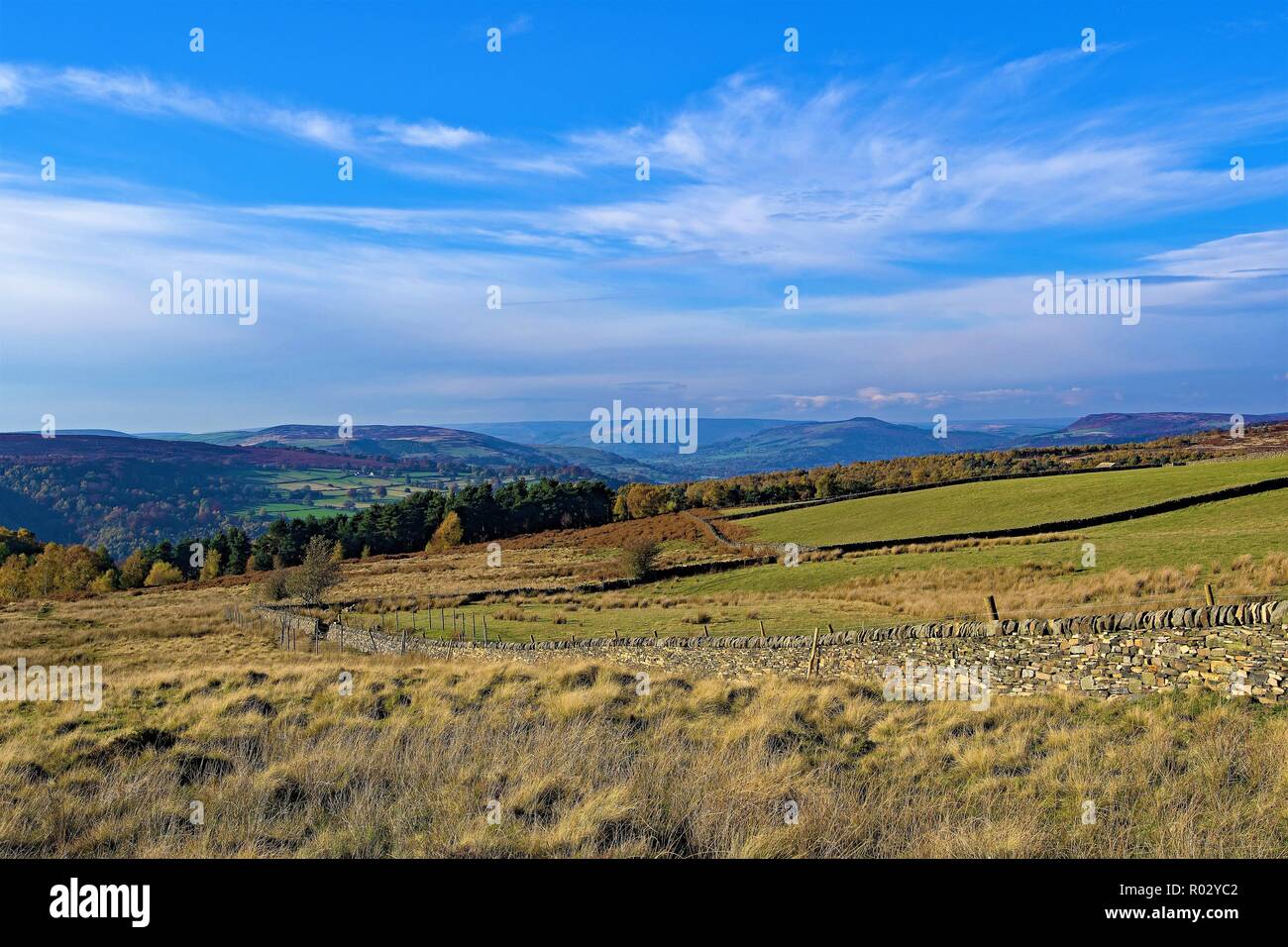 Blue sky di pensiero e momento in Longshaw Prato, Grindleford Foto Stock