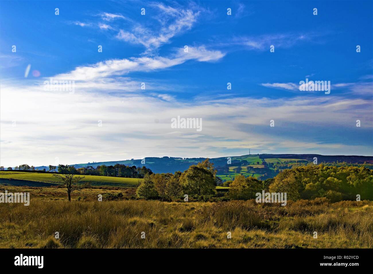 Blue sky di pensiero e momento in Longshaw Prato, Grindleford Foto Stock