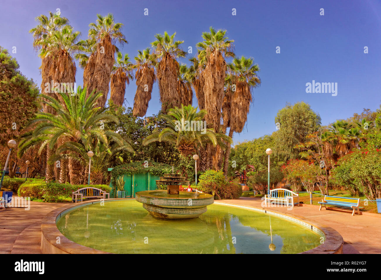 Bird Valley park, Vallée des oiseaux, nel centro di Agadir, Souss-Massa Provincia, Marocco, Nord Africa Occidentale. Foto Stock