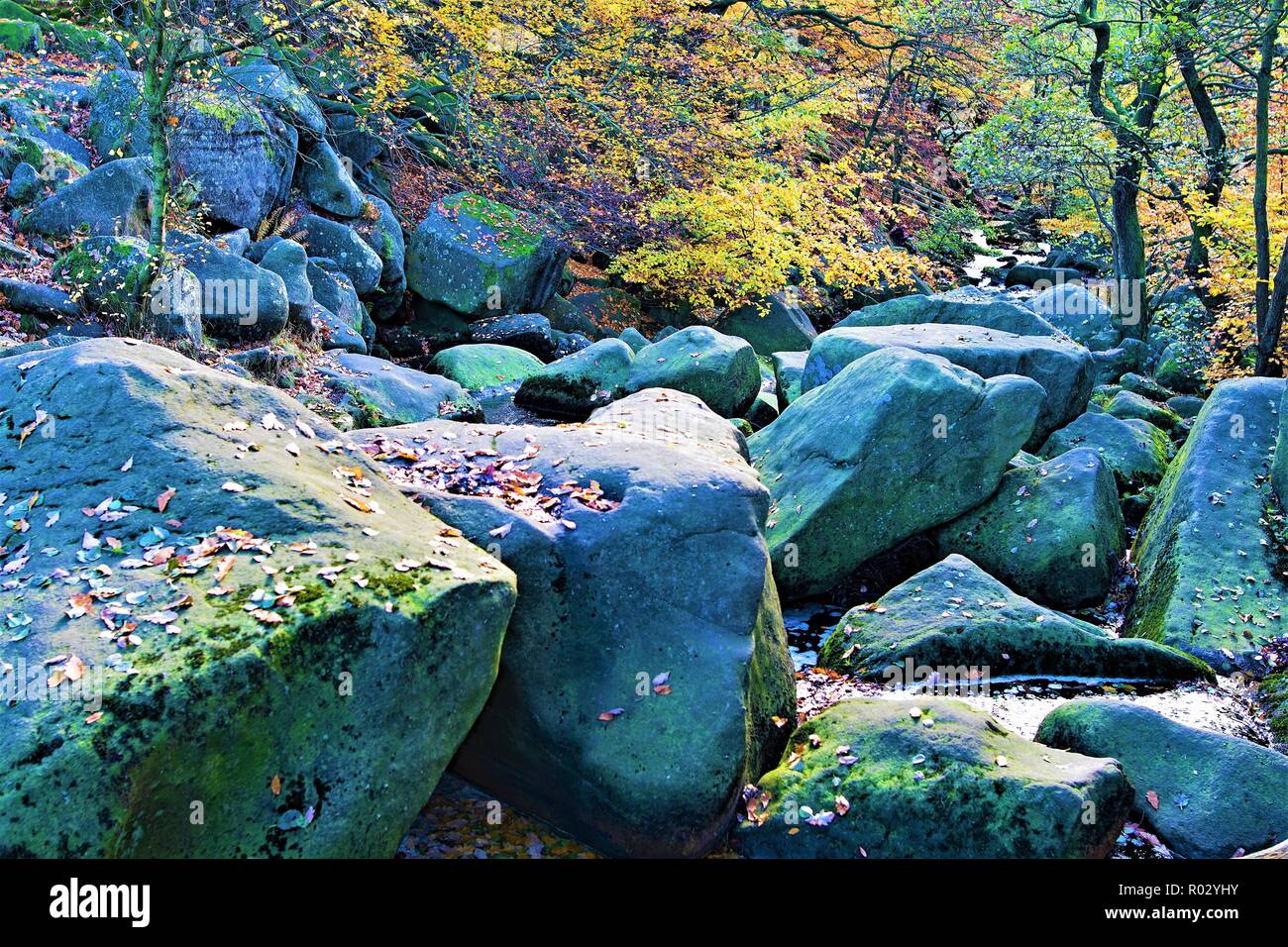 Luccicante e rocce frastagliate in Burbage Brook, Padley gola dei boschi, vicino Grindleford, Derbyshire. Foto Stock