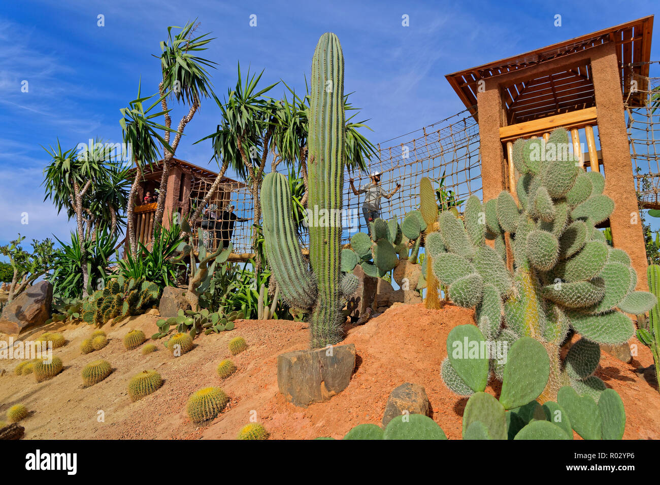 Il giardino dei cactus e funzione passerella aerea a Croco Park, Agadir, Souss-Massa provincia meridionale del Marocco, Nord Africa Occidentale. Foto Stock