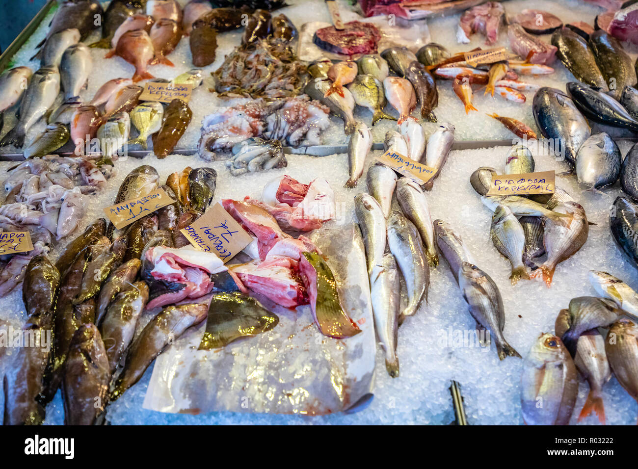Tradizionale mercato del pesce a Corfu Corfu in Grecia, diverse specie di pesci in vendita Foto Stock