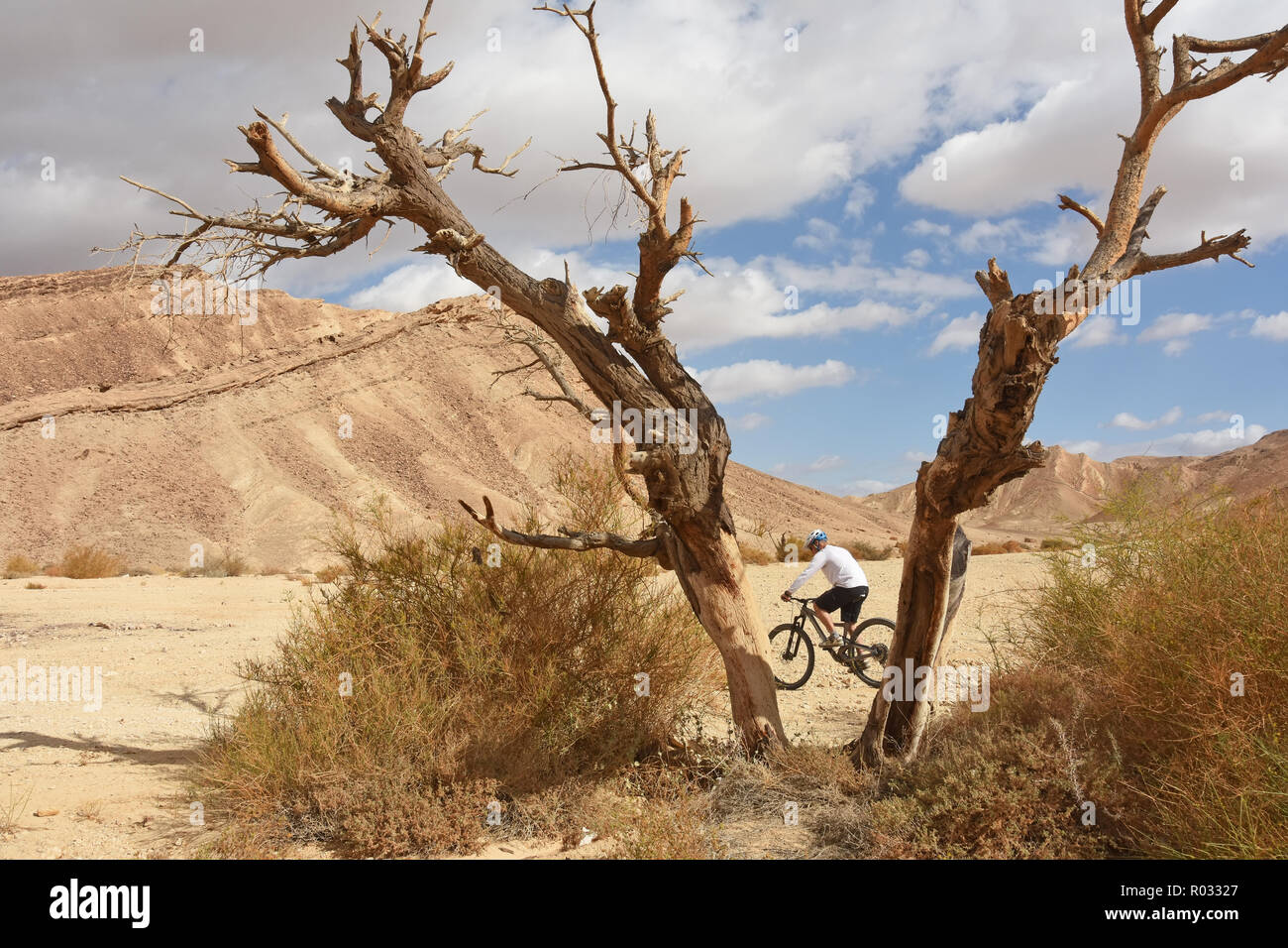 Noleggio desert rider Foto Stock