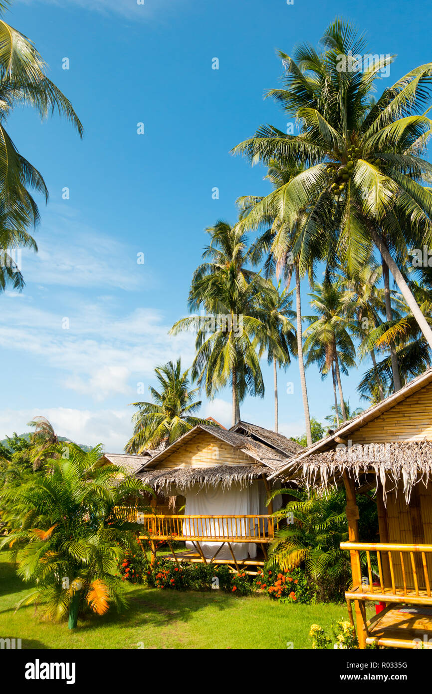 Vista verticale di bamboo bungalows e palme vicino al villaggio di pescatori, Bophut, Ko Samui, Tailandia Foto Stock