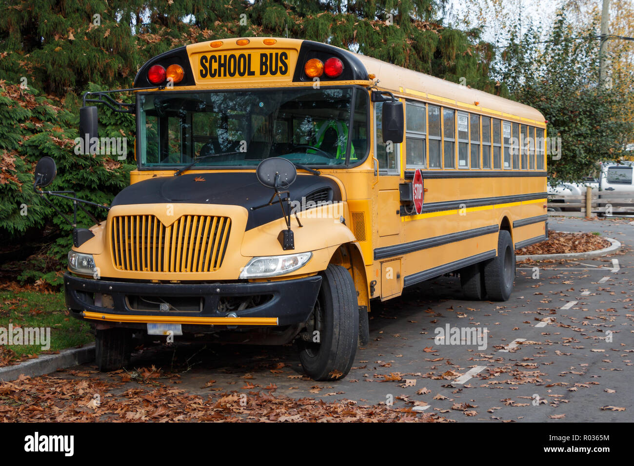 Vista frontale di un Noth American School Bus Foto Stock