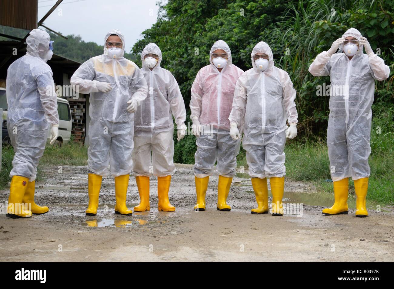 Tuaran Malaysia-Aug Sabah 4,2018: lavoratore veterinaria di indossare dispositivi di protezione personale durante l'influenza aviaria (influenza aviaria) controllo sul pollo barn Foto Stock