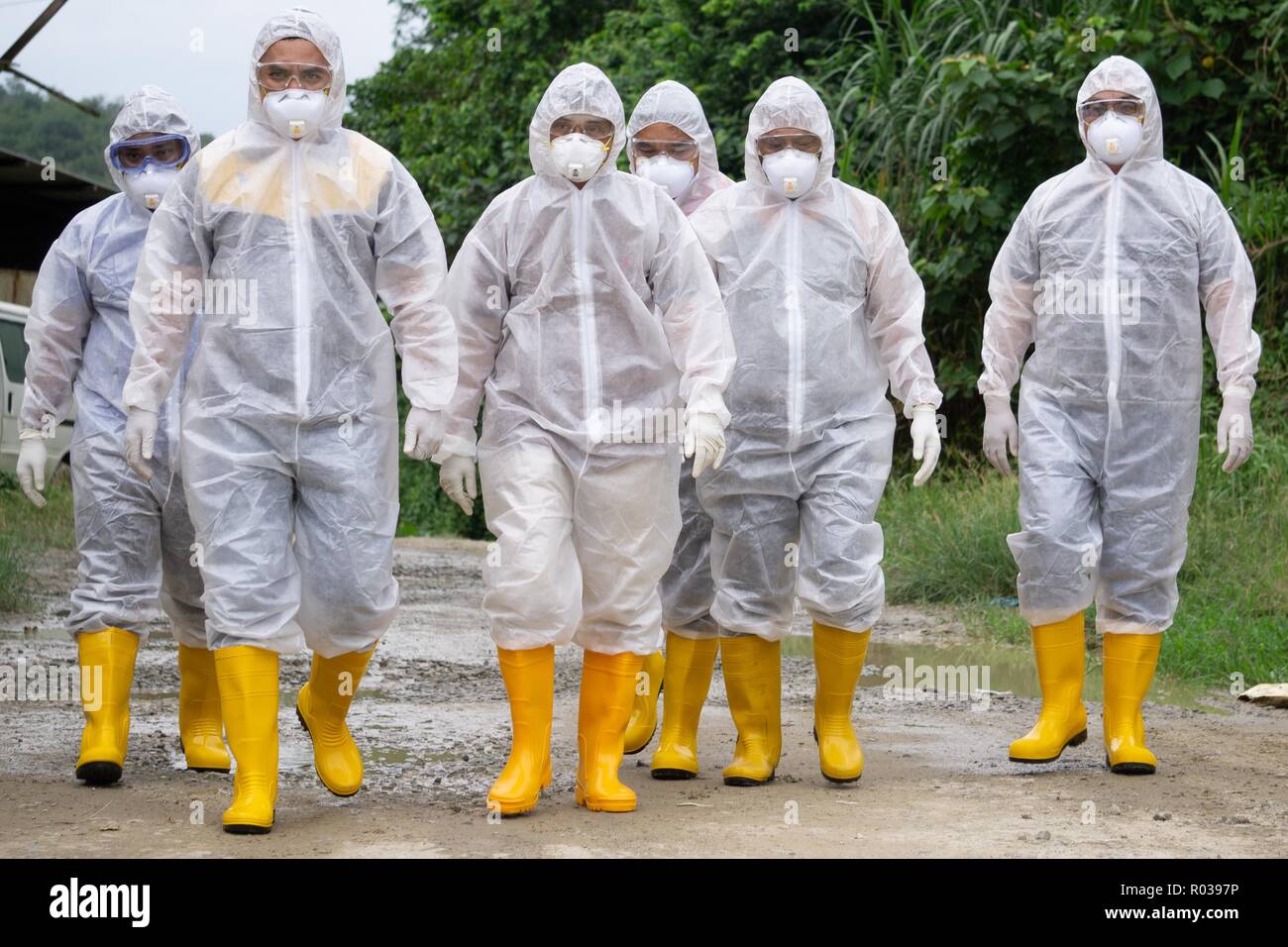 Tuaran Malaysia-Aug Sabah 4,2018: lavoratore veterinaria di indossare dispositivi di protezione personale durante l'influenza aviaria (influenza aviaria) controllo sul pollo barn Foto Stock