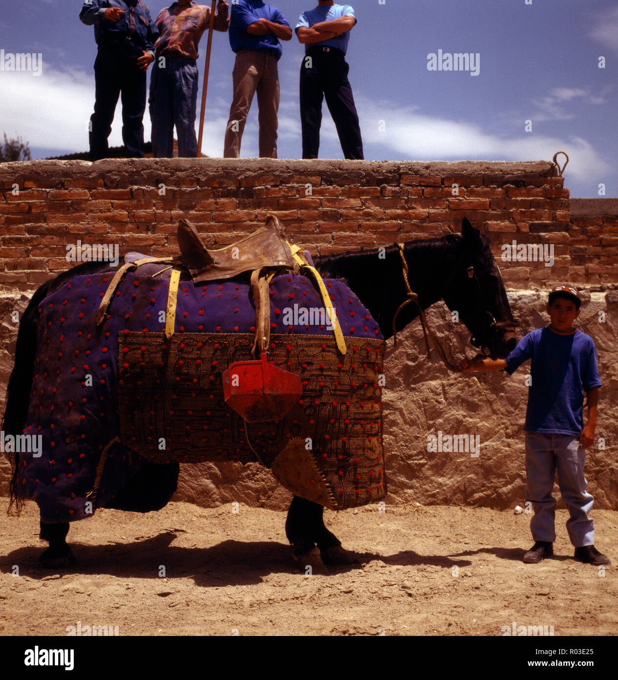 Marrone a cavallo che indossa un costume tradizionale. Foto Stock