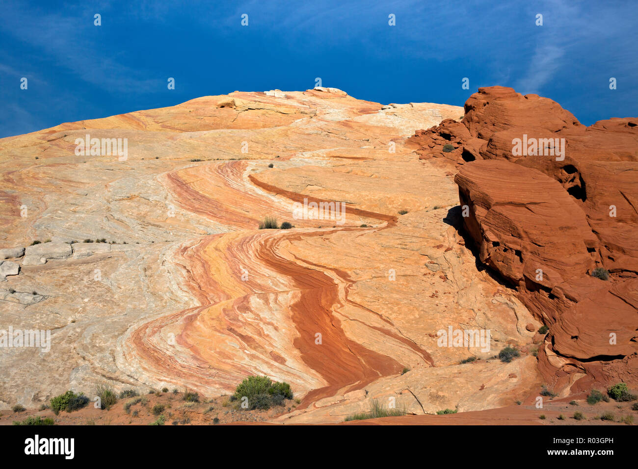 NV00081-00...NEVADA - strati colorati di arenaria trovata nella Valle del Fuoco parco dello stato. Foto Stock