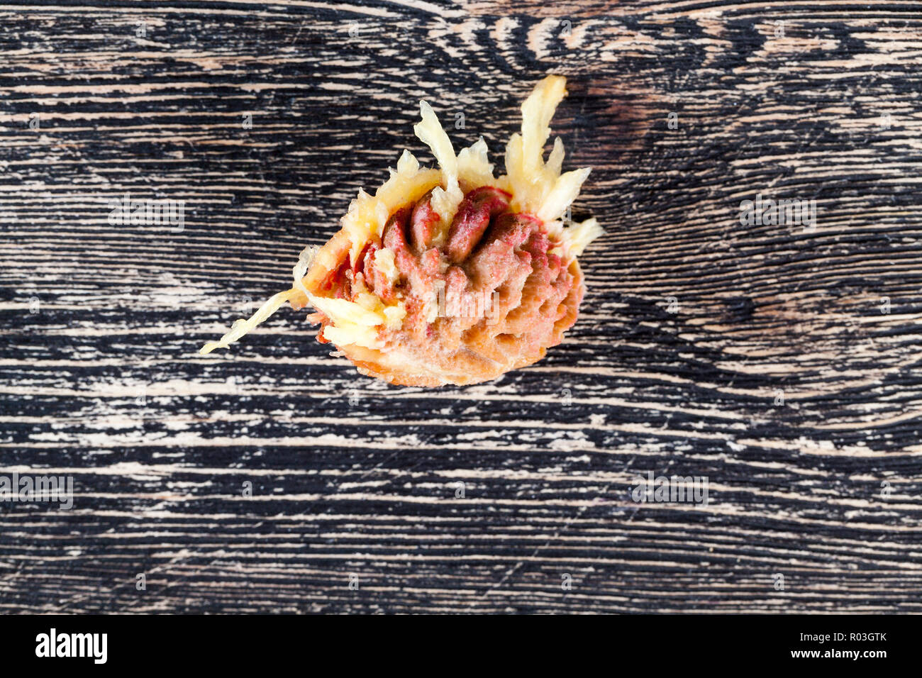 Grande osso da succose pesche su una tavola nera Foto Stock