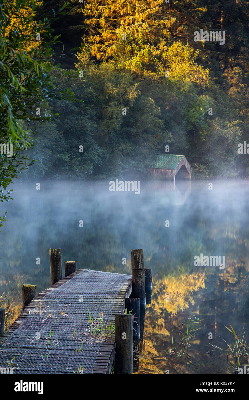 Una nebbiosa mattina autunnale all'alba sul Loch Ard nel Trossachs National Park Foto Stock