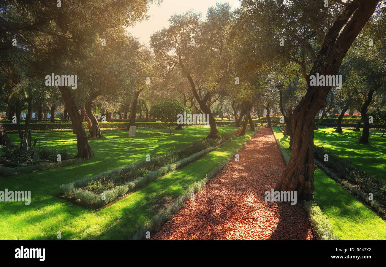 I giardini Bahai di Haifa in Israele. È un luogo dove le persone ammirare splendidi giardini e fiori e altre piante. Foto Stock