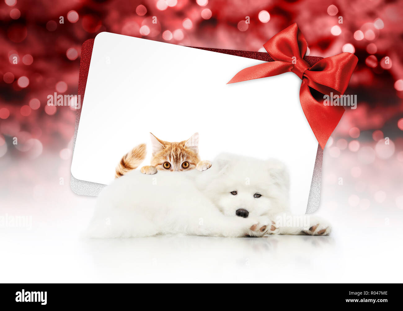 Buon Natale Un Ca.Buon Natale Cartello O Carta Regalo Per Pet Shop O Clinica Veterinaria Bianco Del Cane E