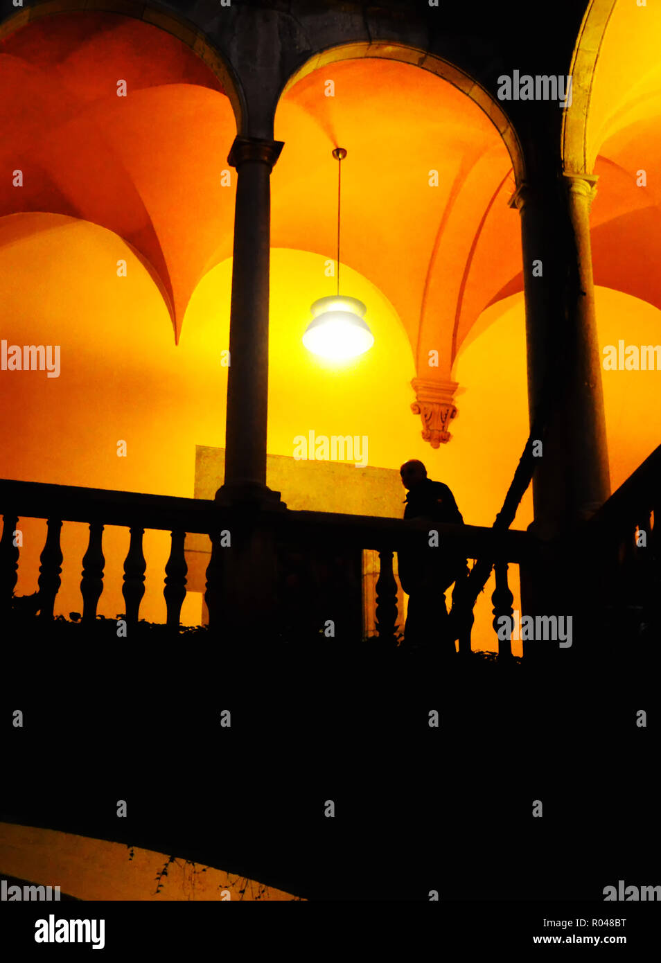 Silhouette di una guardia di sicurezza Foto Stock