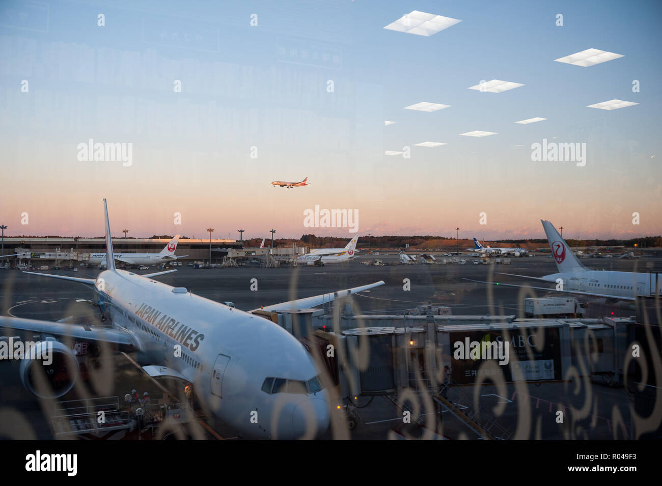 Tokyo, Giappone, Japan Airlines aerei passeggeri all'Aeroporto di Narita Foto Stock