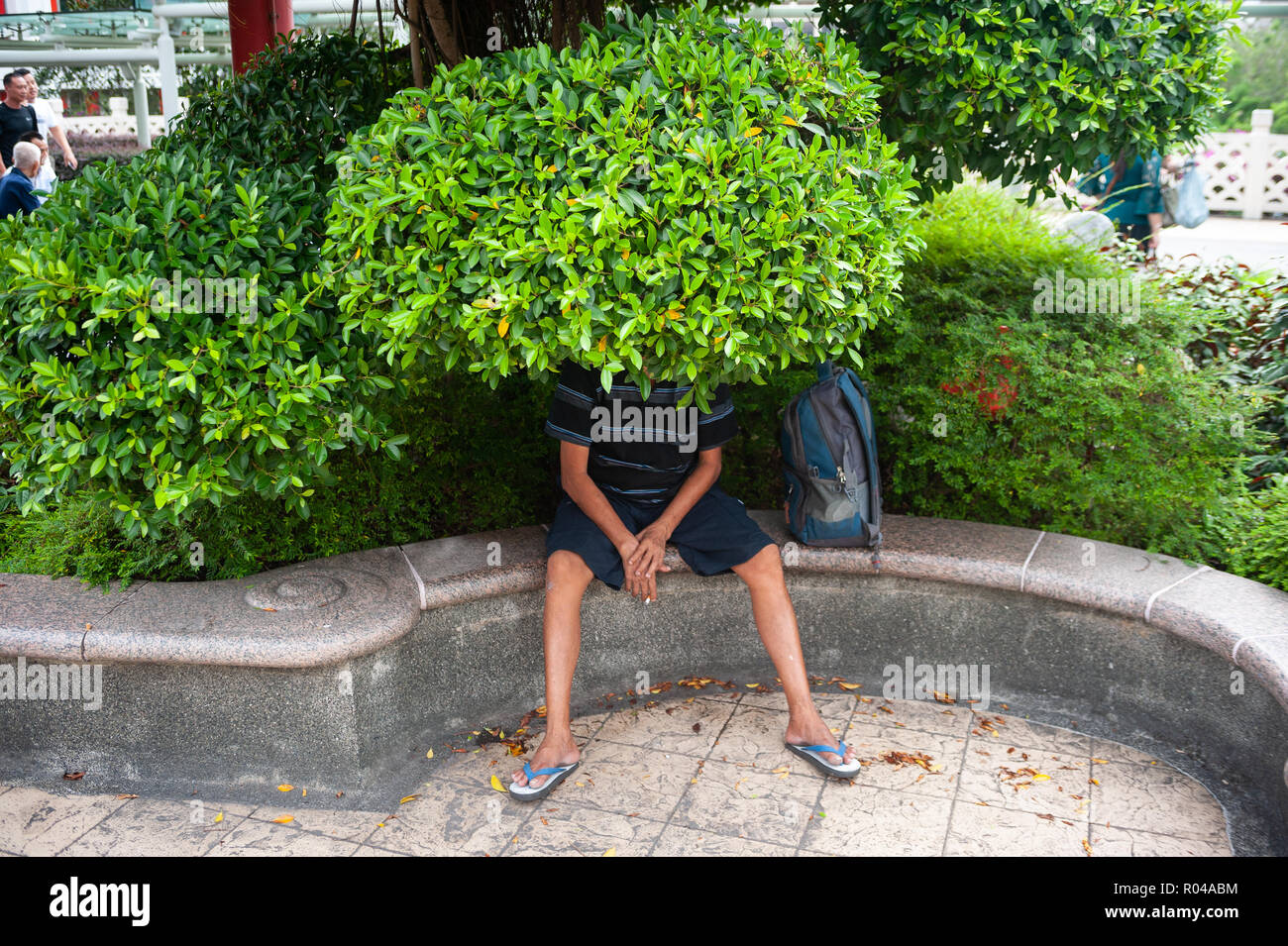 Repubblica di Singapore, uomo sotto un albero Foto Stock