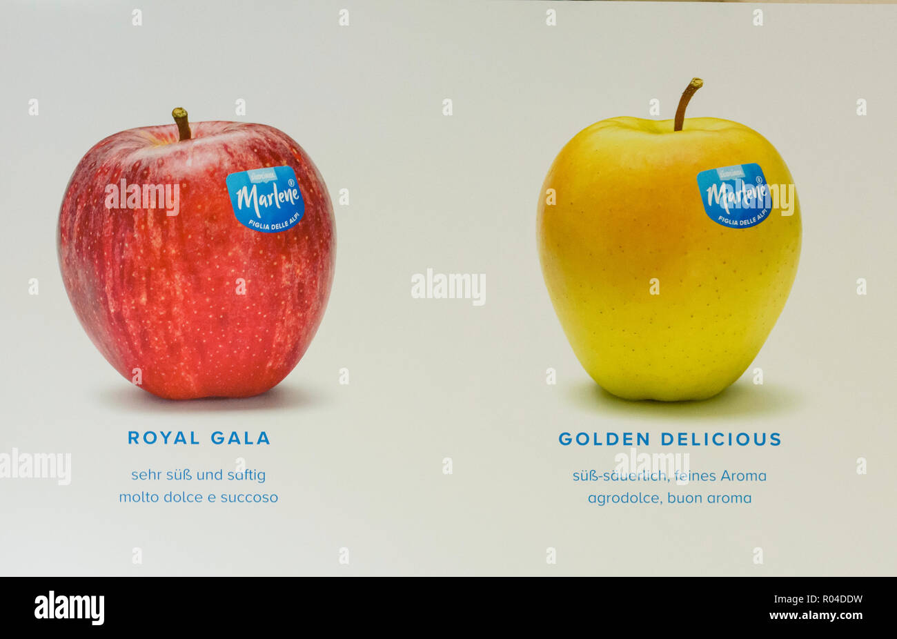 Mele varietà "elinda' isolato su sfondo bianco con la descrizione del nome della Apple. Apple paese Alto Adige. Mercato Orchard Foto Stock