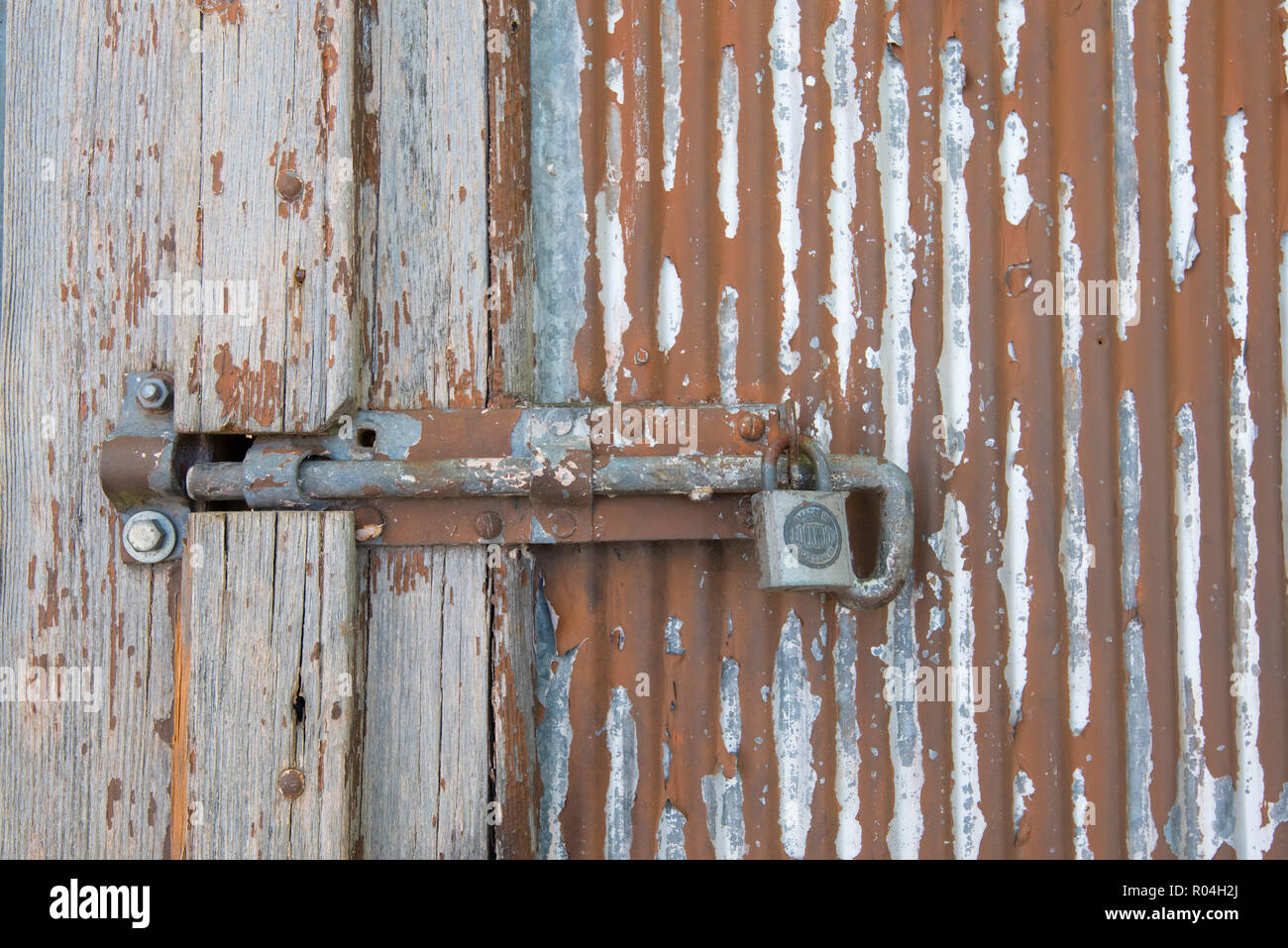 Un arrugginito dipinto bullone scorrevole è fissato con un lucchetto Lockwood su un vecchio in legno e acciaio zincato porta con peeling vernice rossa Foto Stock