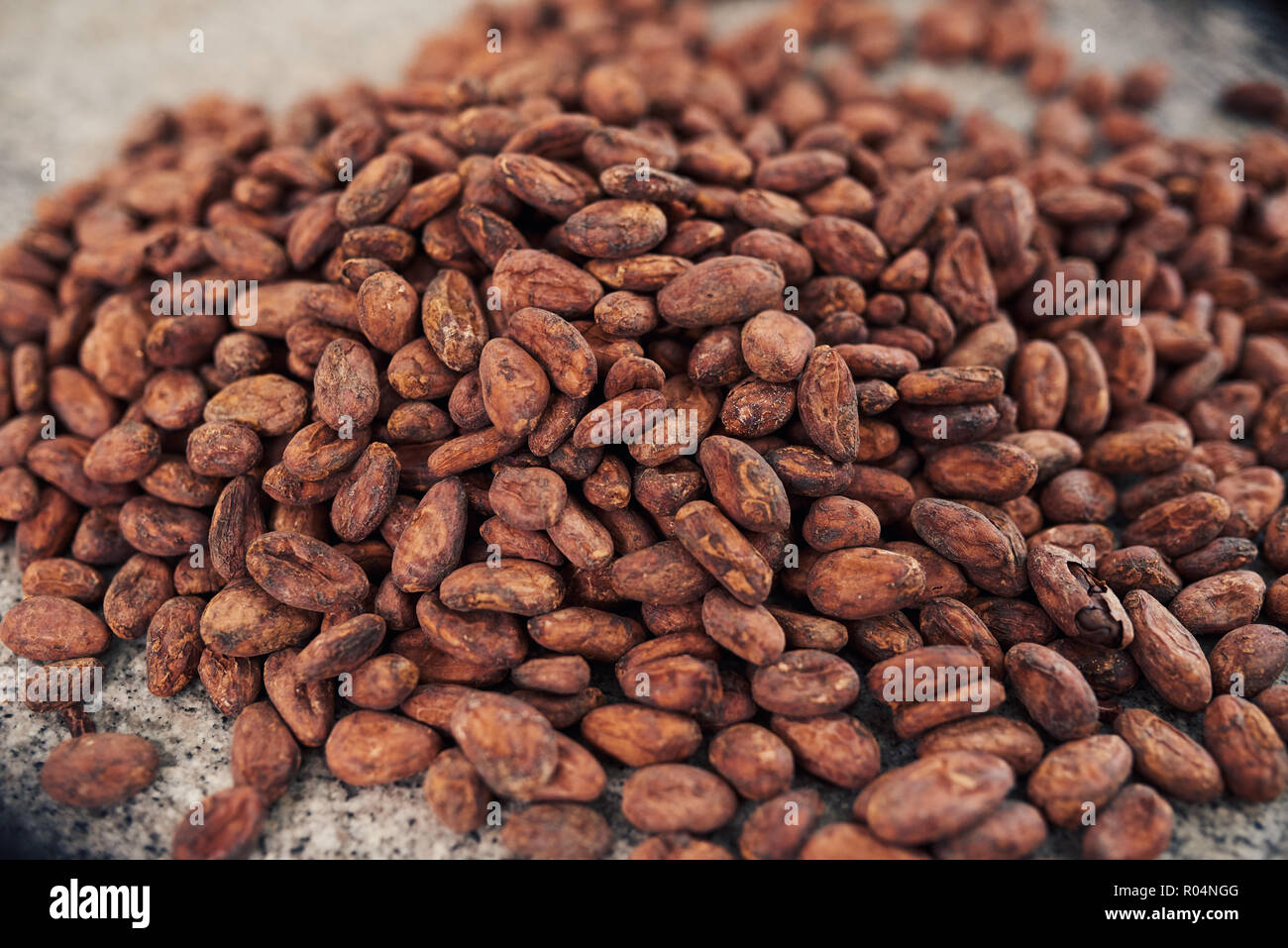 Secchi fave di cacao in un cioccolato rendendo tabella di fabbrica Foto Stock