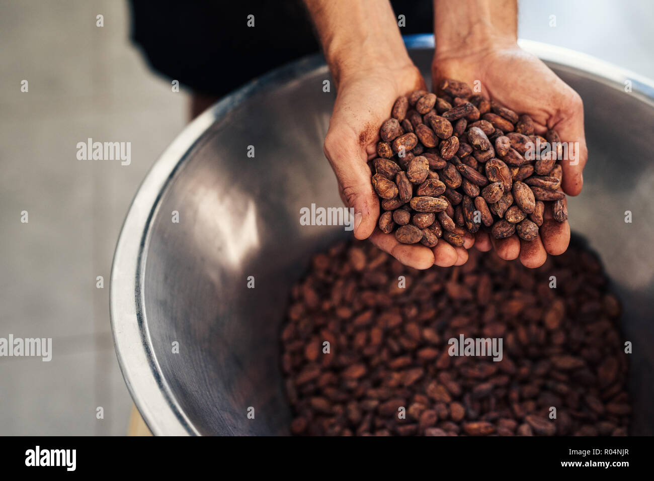 Lavoratore azienda cocao fagioli in un cioccolato artigianale rendendo la fabbrica Foto Stock