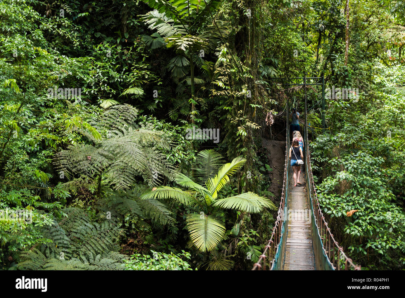 La foresta pluviale su La Fortuna cascata escursione, provincia di Alajuela, Costa Rica, America Centrale Foto Stock
